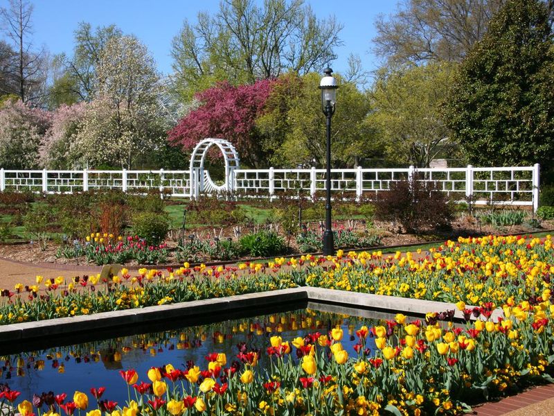 Missouri Botanical Garden in St. Charles