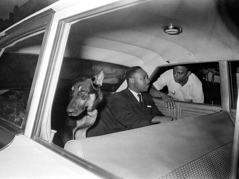 MLK in police car