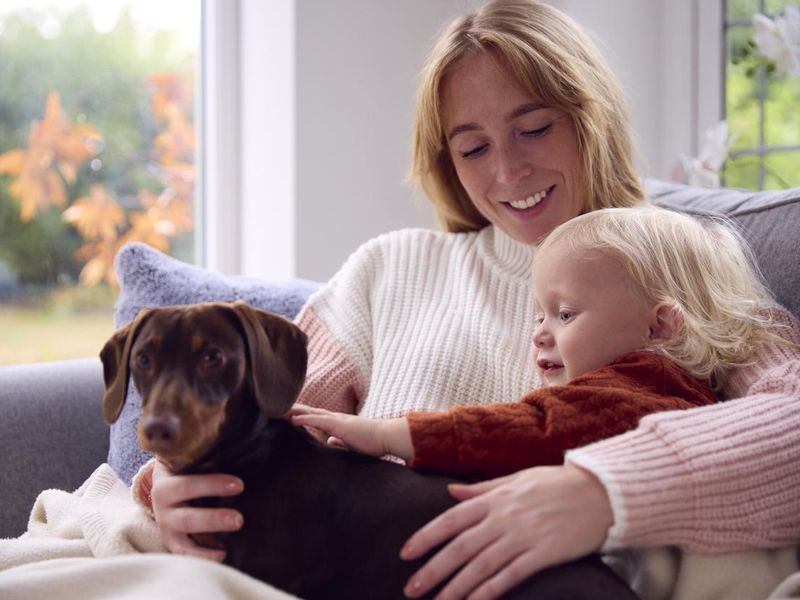 Mom introducing toddler to new family dog