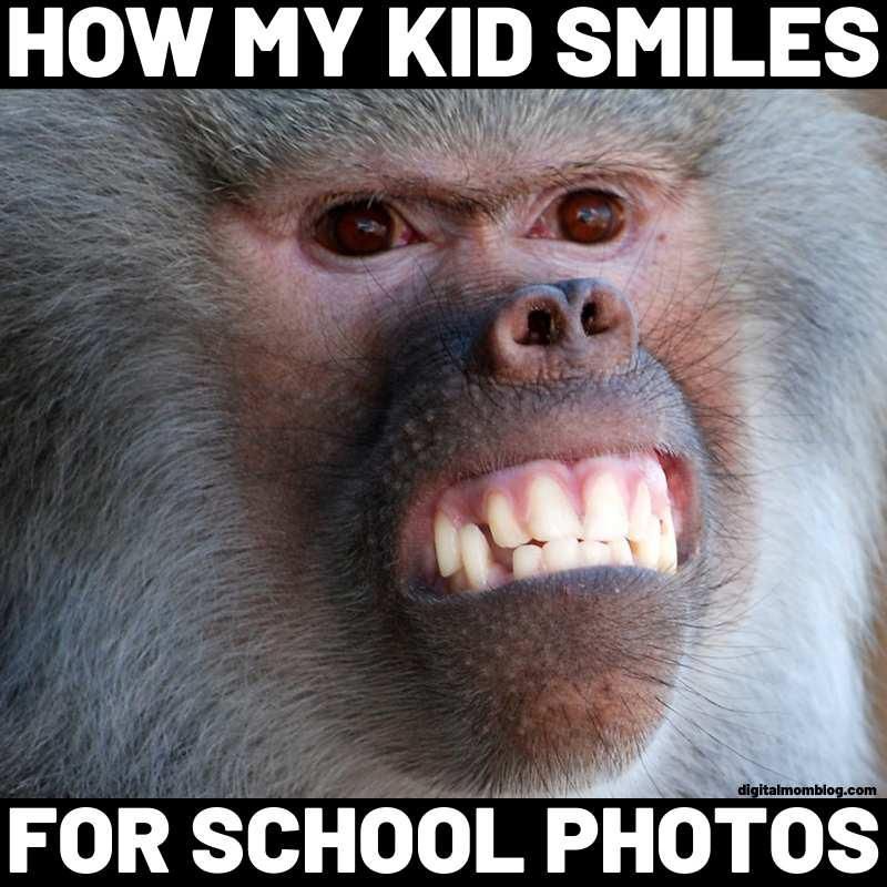 There's a Funny Monkey Meme for Every Moment in Life | Always Pets