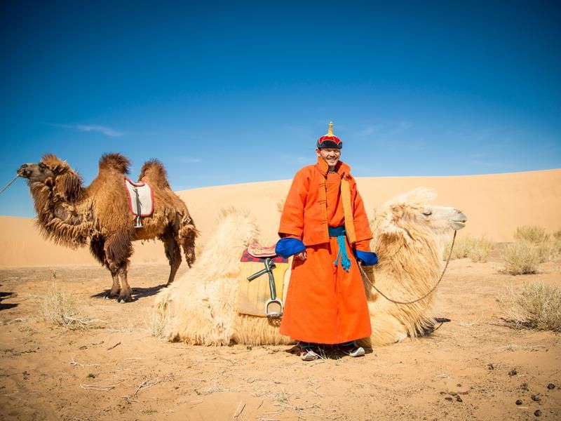 Mongolia Camel Ride