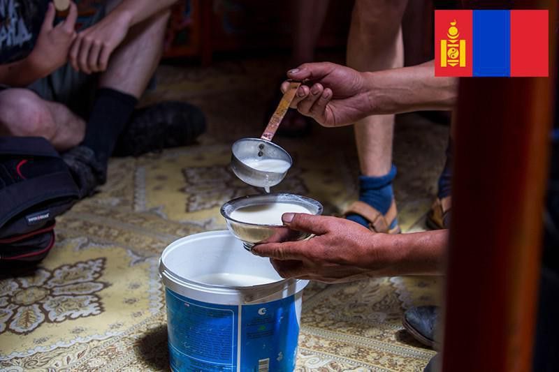 Mongolian fermented milk drink, airag