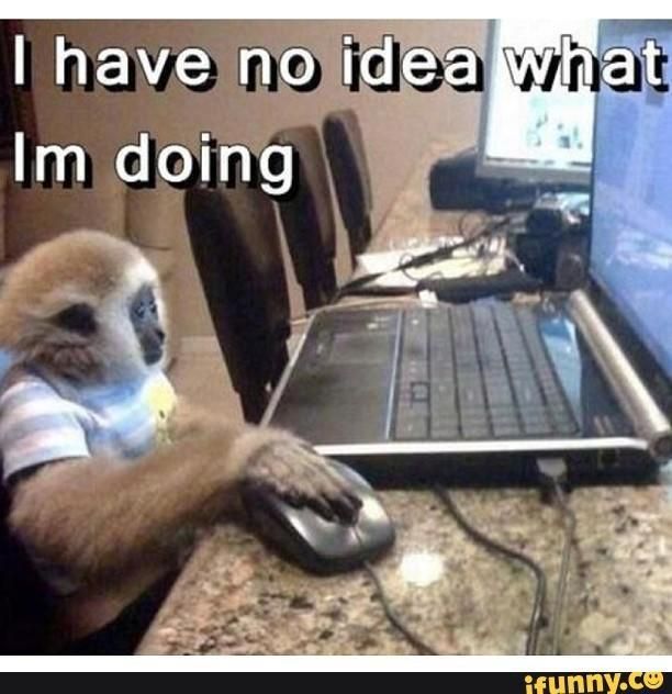 Monkey at Computer Meme