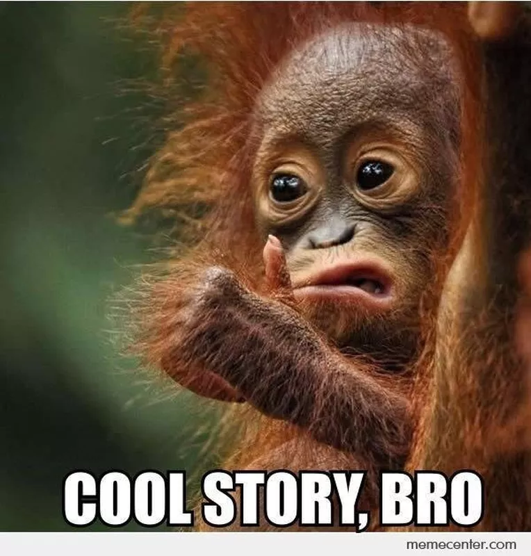There's a Funny Monkey Meme for Every Moment in Life