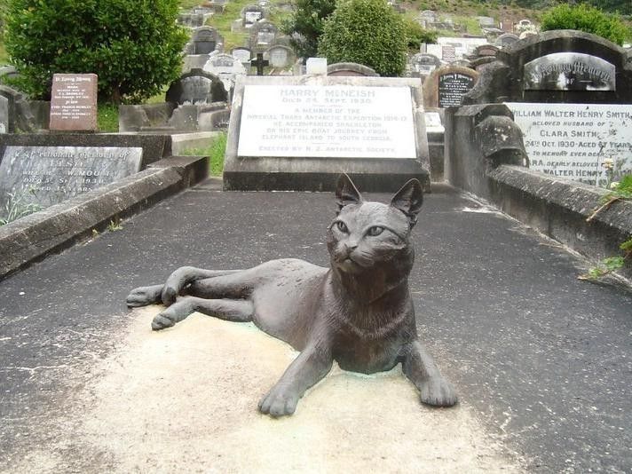 Monument to Antarctic exploration cat in New Zealand