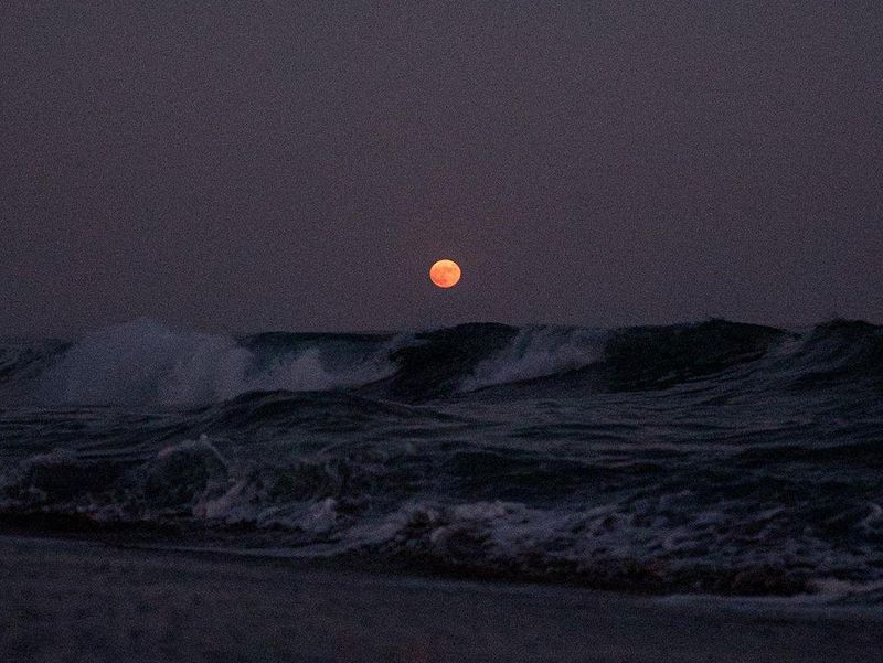 Moonrise Over the Ocean