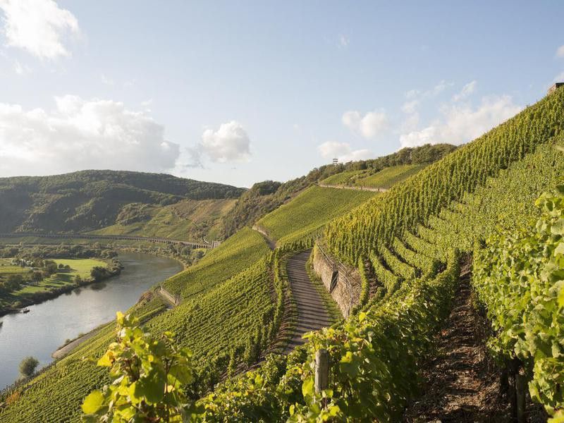 Moselle Valley, Germany