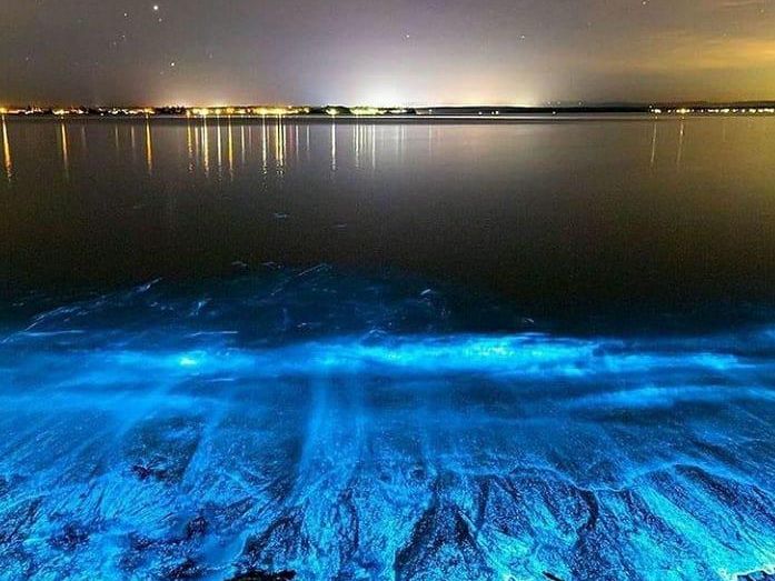 Mosquito Bay bioluminescence at night