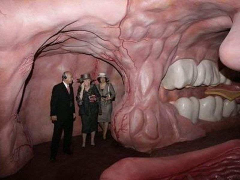 mouth exhibit
