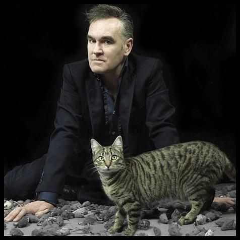 Moz and cat