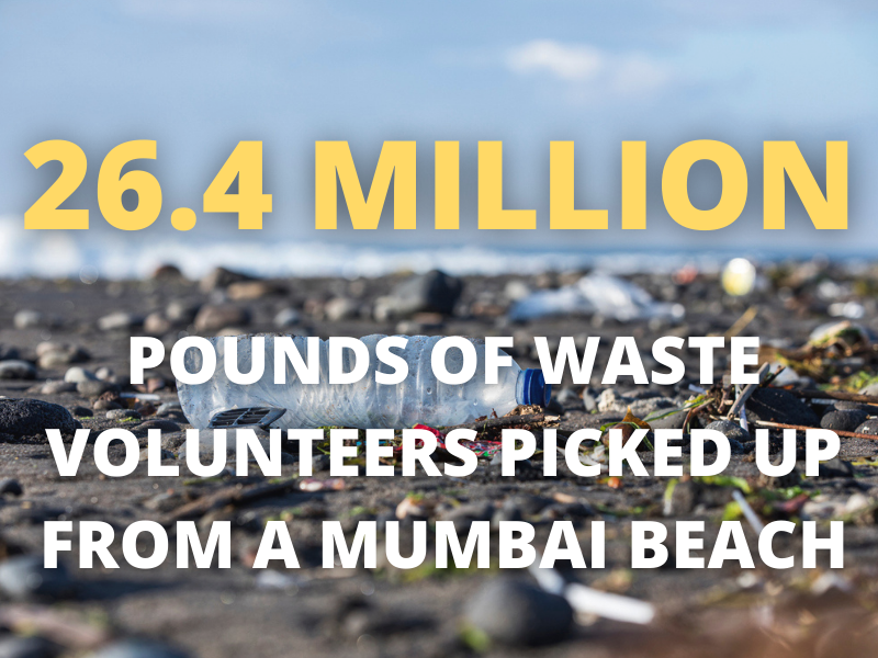 Mumbai beach cleanup facts