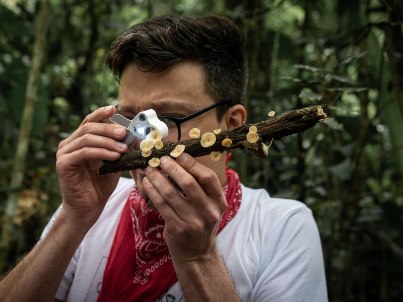 Mycophile studying mushrooms with a magnifying glass