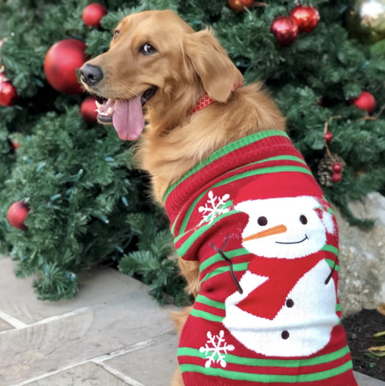 Nacoco Dog Snowman Sweater
