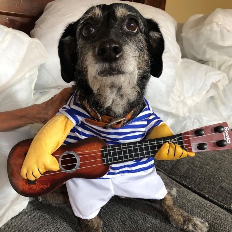 Nacoco Pet Guitar Costume
