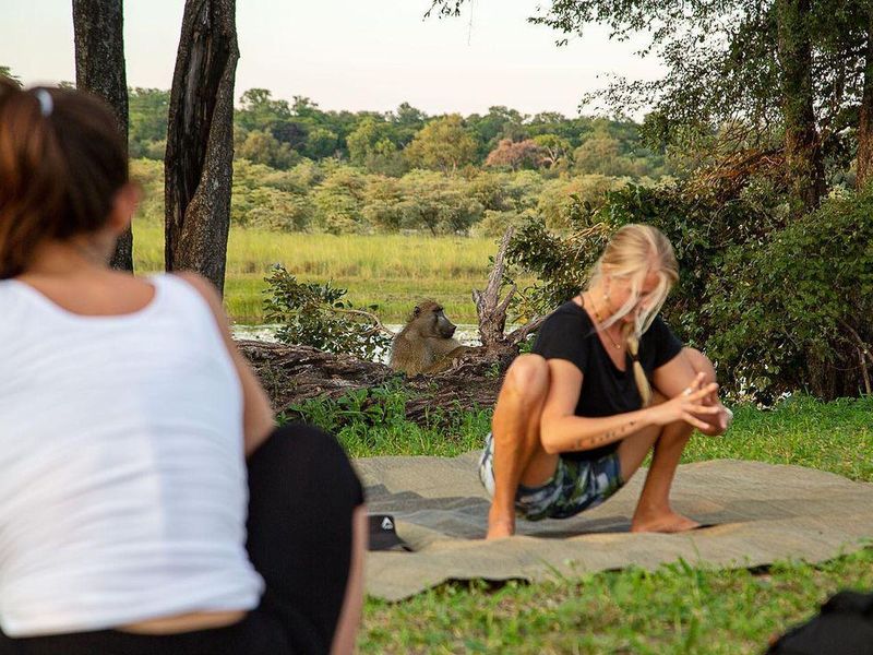 Namaste Yoga Safari