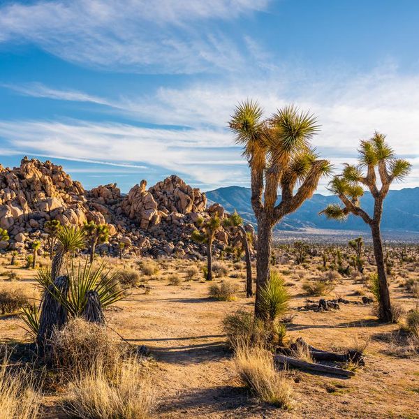 All 9 National Parks in California, Ranked