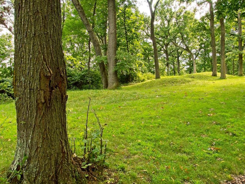 Native American burial mounds at Effigy Mounds national monument, Iowa