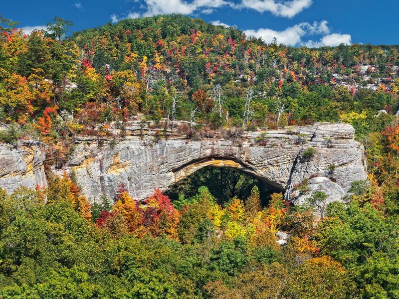 Natural Arch In Kentucky, Daniel Boone National Forest
