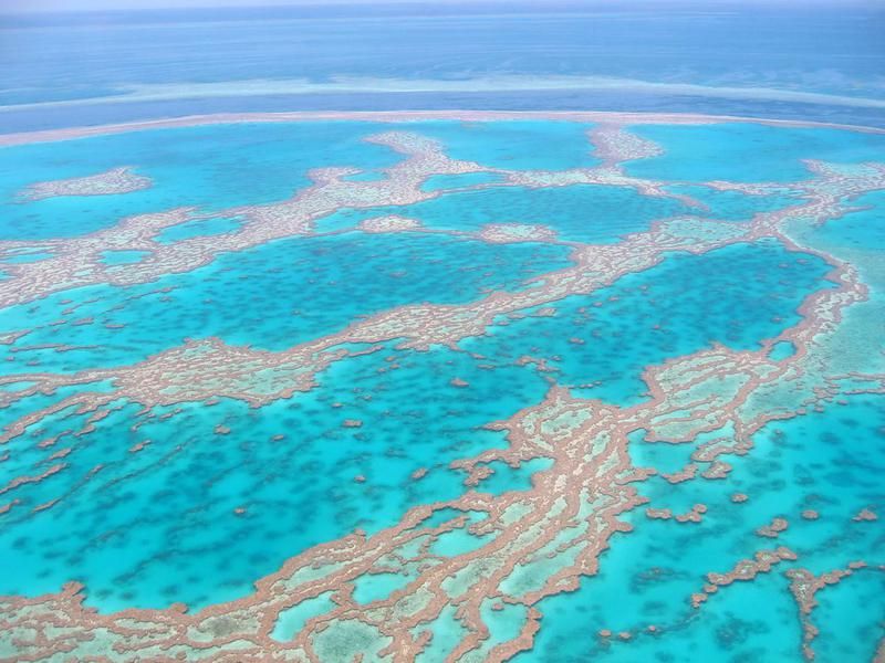 Natural Wonder: Australia's Great Barrier Reef (view from the air)