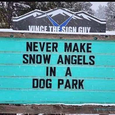 Funny Dog Park Memes That Show How Weird Dogs Can Be