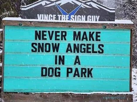 Never make snow angels in a dog park meme