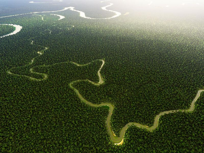 New 7 Wonders: Amazon River Brazil
