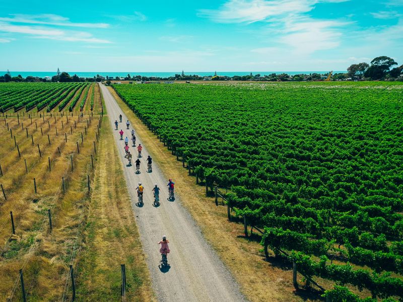 New Zealand bike and wine tour