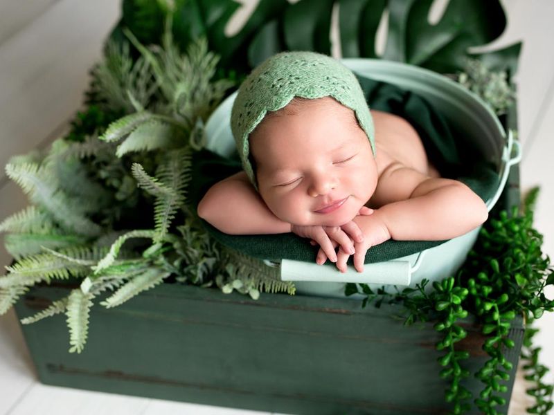 Newborn sweetly sleeps in a basket with green plants