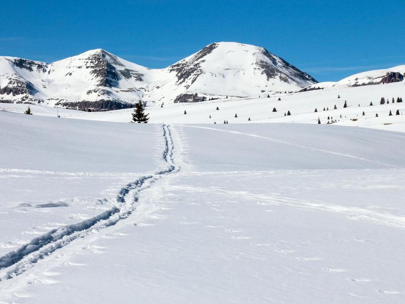 Nordic ski track at Silverton Mountain, Colorado