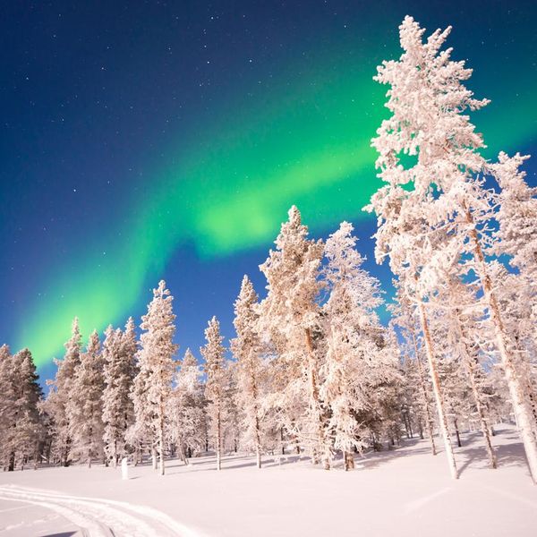 20 Stunning Winter Pictures That Highlight the Magic of Snow