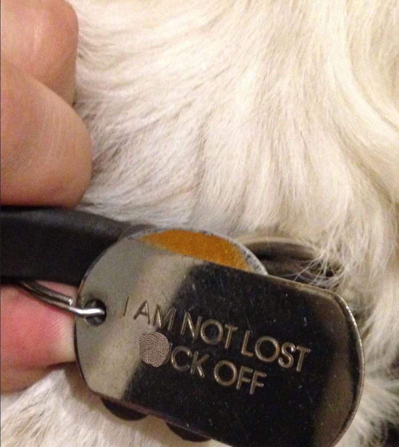 Not lost dog tag