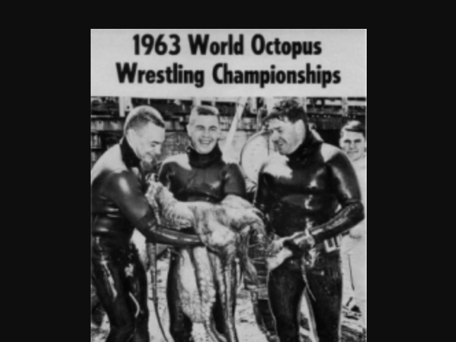 Octopus wrestling champions