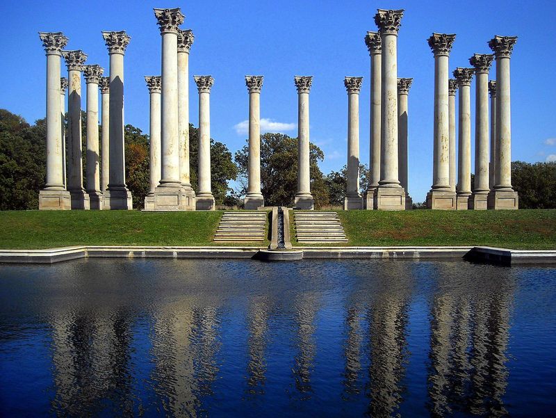 Old Capitol columns at the National Arboretum