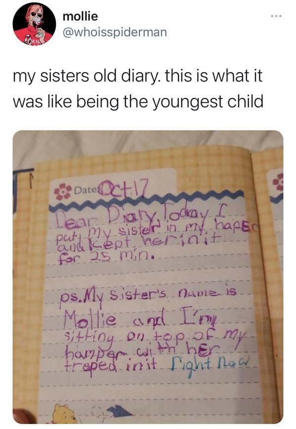 Older sister diary