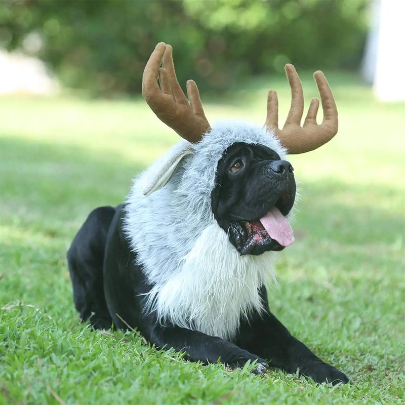 Onmygogo Funny Moose Costumes for Dog