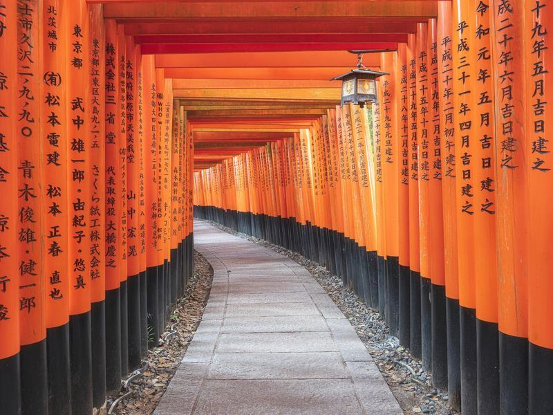 Orange torii gates at the Fushimi Inari Shrine, Kyoto