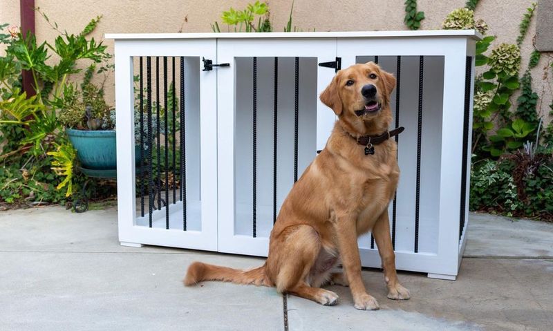 Outdoor dog kennel with roof