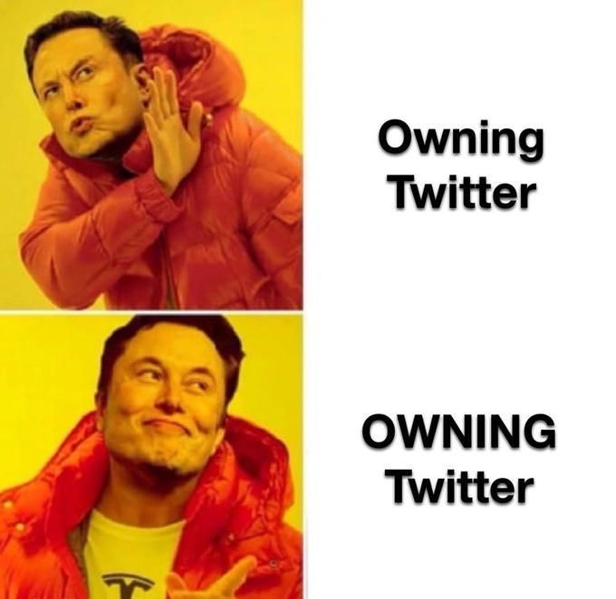 owning twitter