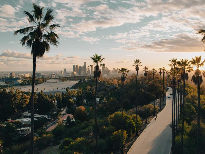 Palm Tree-Lined Street Overlooking Los Angeles at Sunset