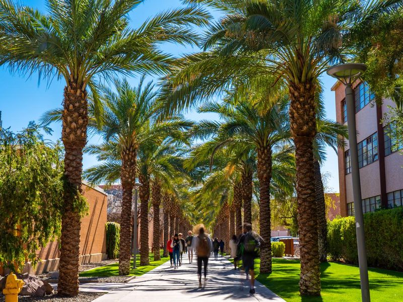 Palm Walk on the Arizon State University Tempe campus