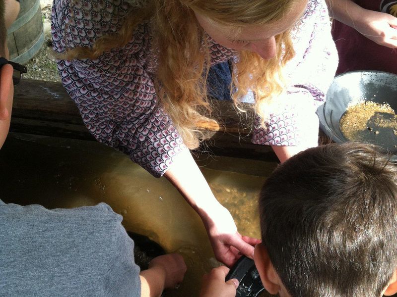 Panning for gold at Marshall Gold Discovery State Historic Park