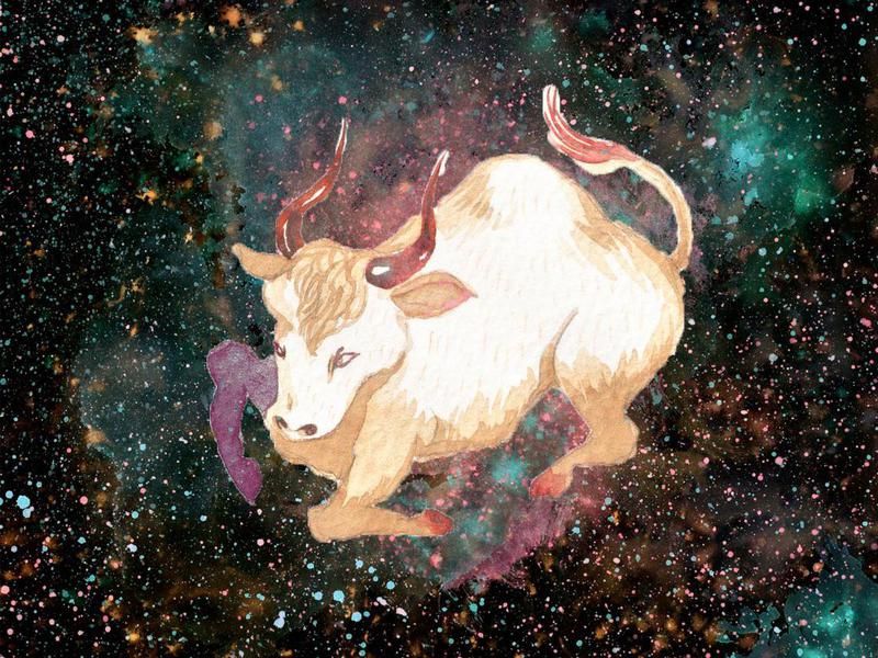 Partner horoscopes for Taurus