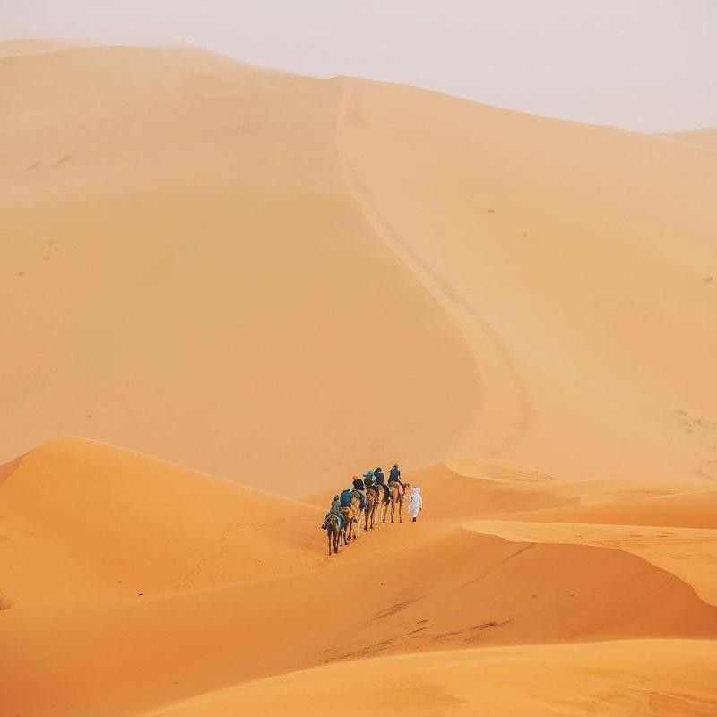 People crossing the desert by camel