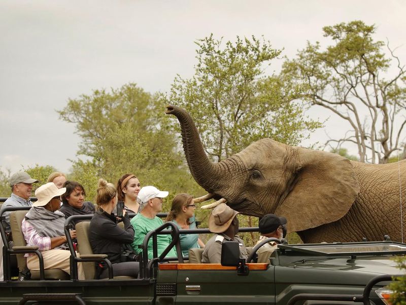 People on an African safari getting a close look at an elephant
