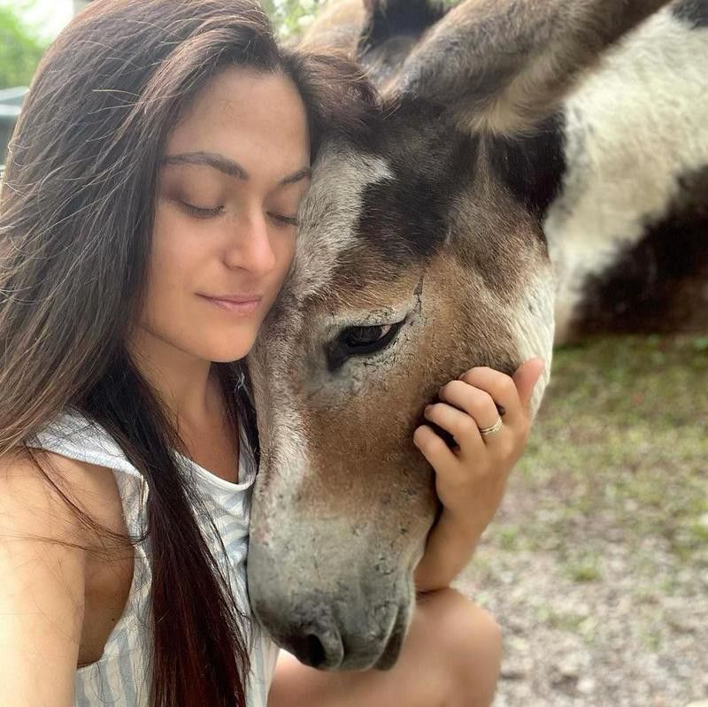 Pet donkey with its owner