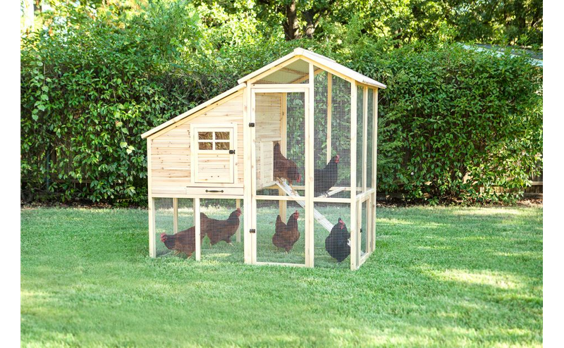 Petmate Superior Construction Chicken Coop, 70401D