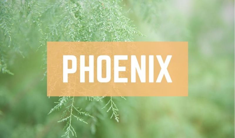 Phoenix