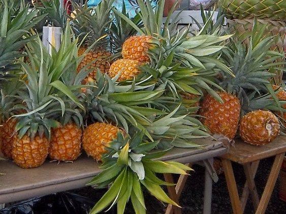 Pineapples at Hanalei Farmers Market