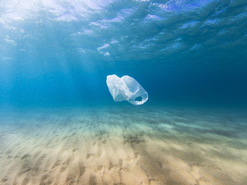 Plastic bag pollution in ocean