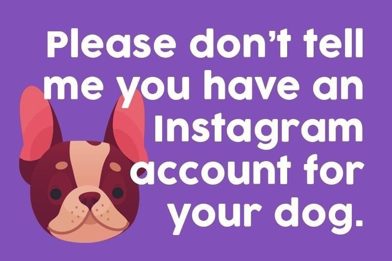 Please don’t tell me you have an Instagram account for your dog.